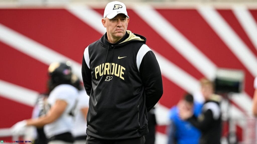 Jeff Brohm Professional Career